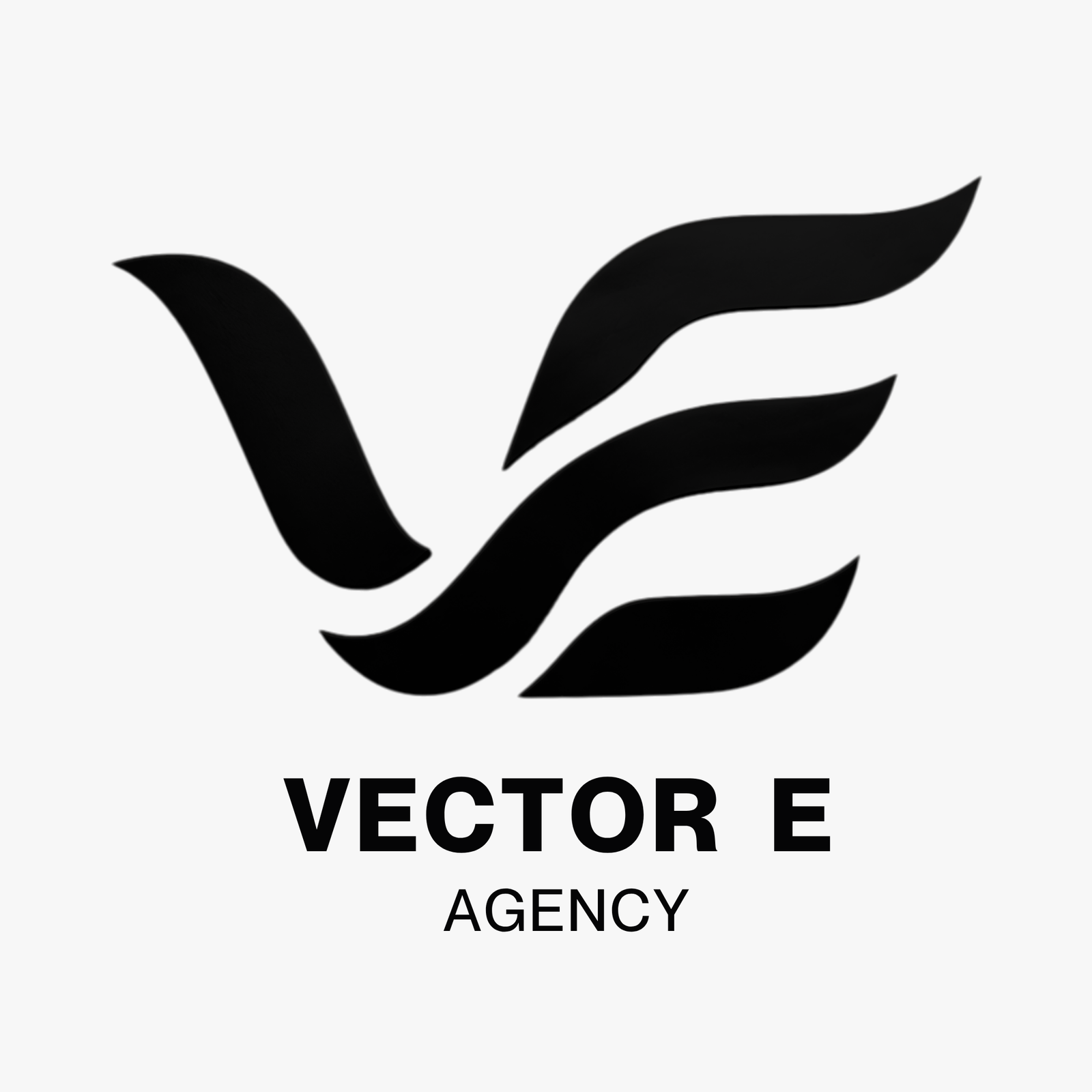 Vector E Agency Logo